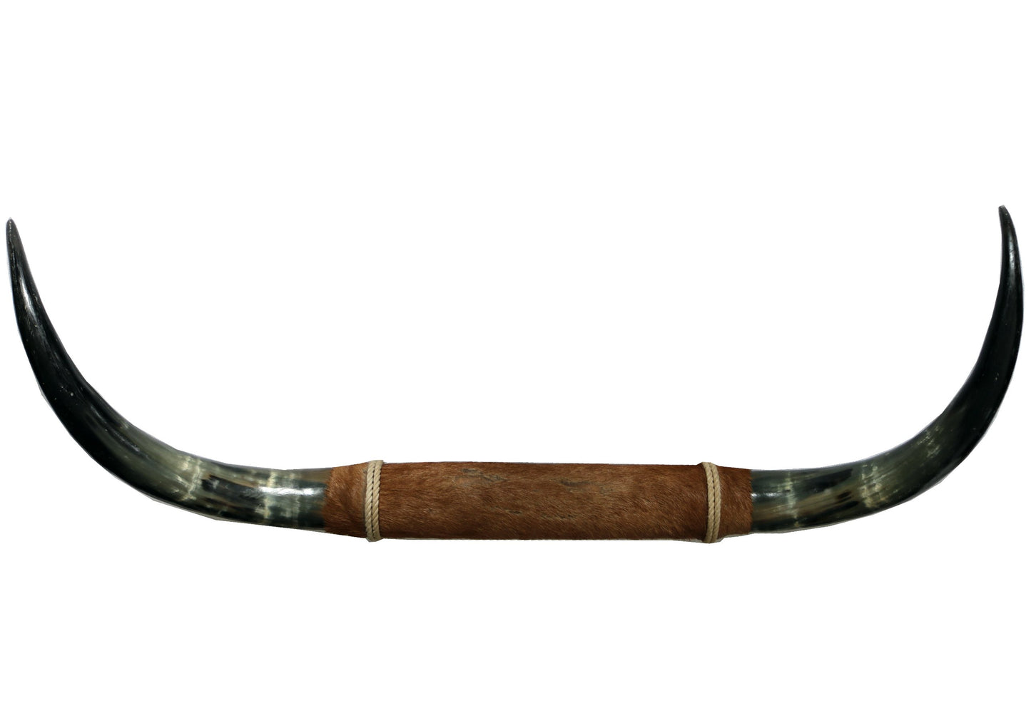 98380 Horns Cornes Collection Quebecuir Premium