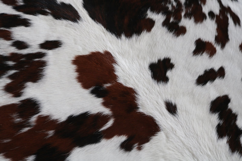 100079 Cowhide Rug Tricolor Tapis peau de vache. Quebecuir Premium Collection.