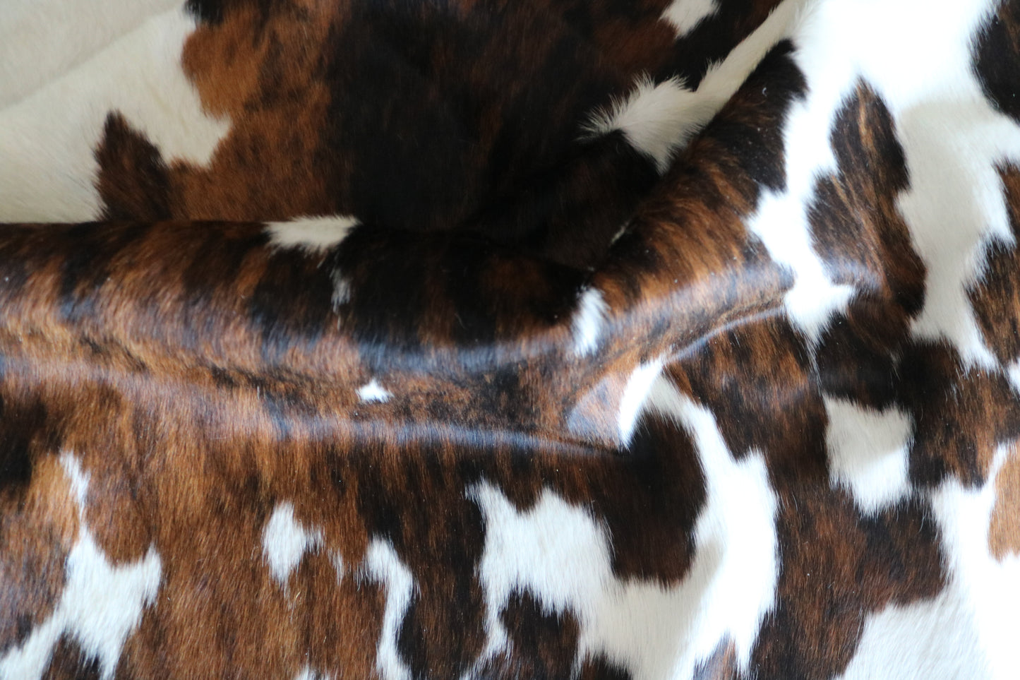 100223- SUPER BIG SIZE XXXL TRICOLOR Cowhide Rug - Quebecuir Premium Collection