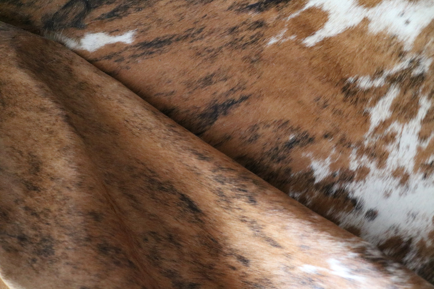 100227 - TRICOLOR Cowhide Rug - Quebecuir Premium Collection