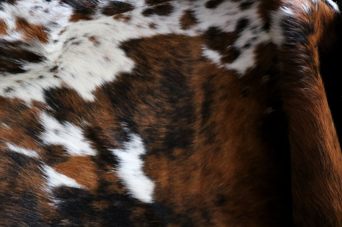 100228 - TRICOLOR Cowhide Rug - Quebecuir Premium Collection