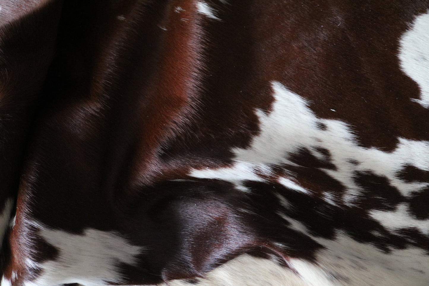 200609 - TRICOLOR Cowhide Rug - Quebecuir Premium Collection