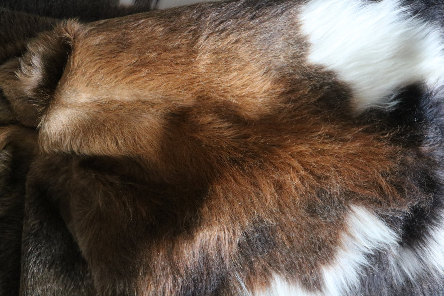 200610 - TRICOLOR Cowhide Rug - Quebecuir Premium Collection