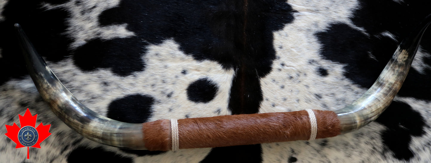 100234 Horns Cornes Collection Quebecuir Premium
