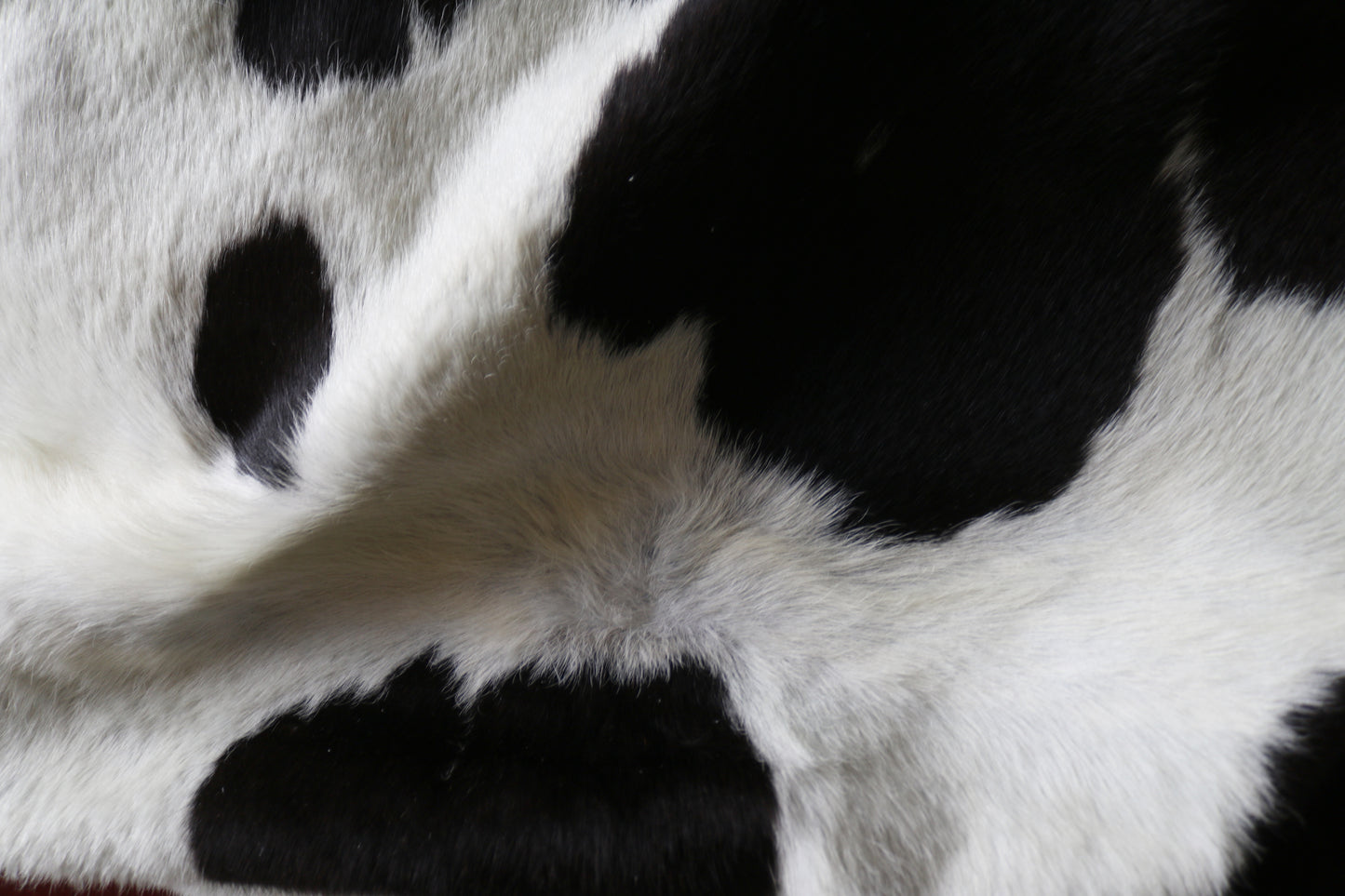 200618 - Cowhide Rug - Quebecuir Premium Collection