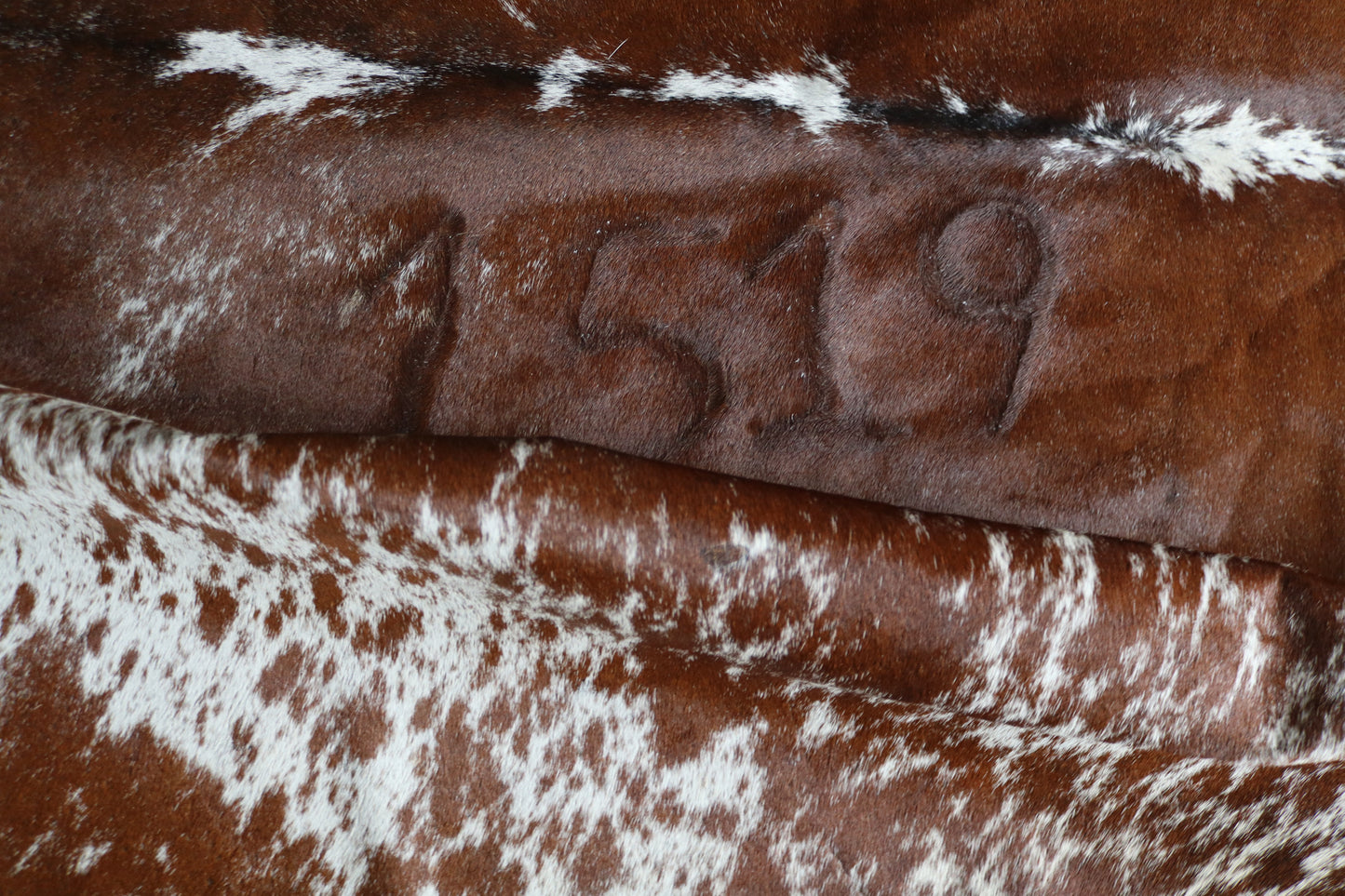 200620 -TRICOLOR Cowhide Rug - Quebecuir Premium Collection