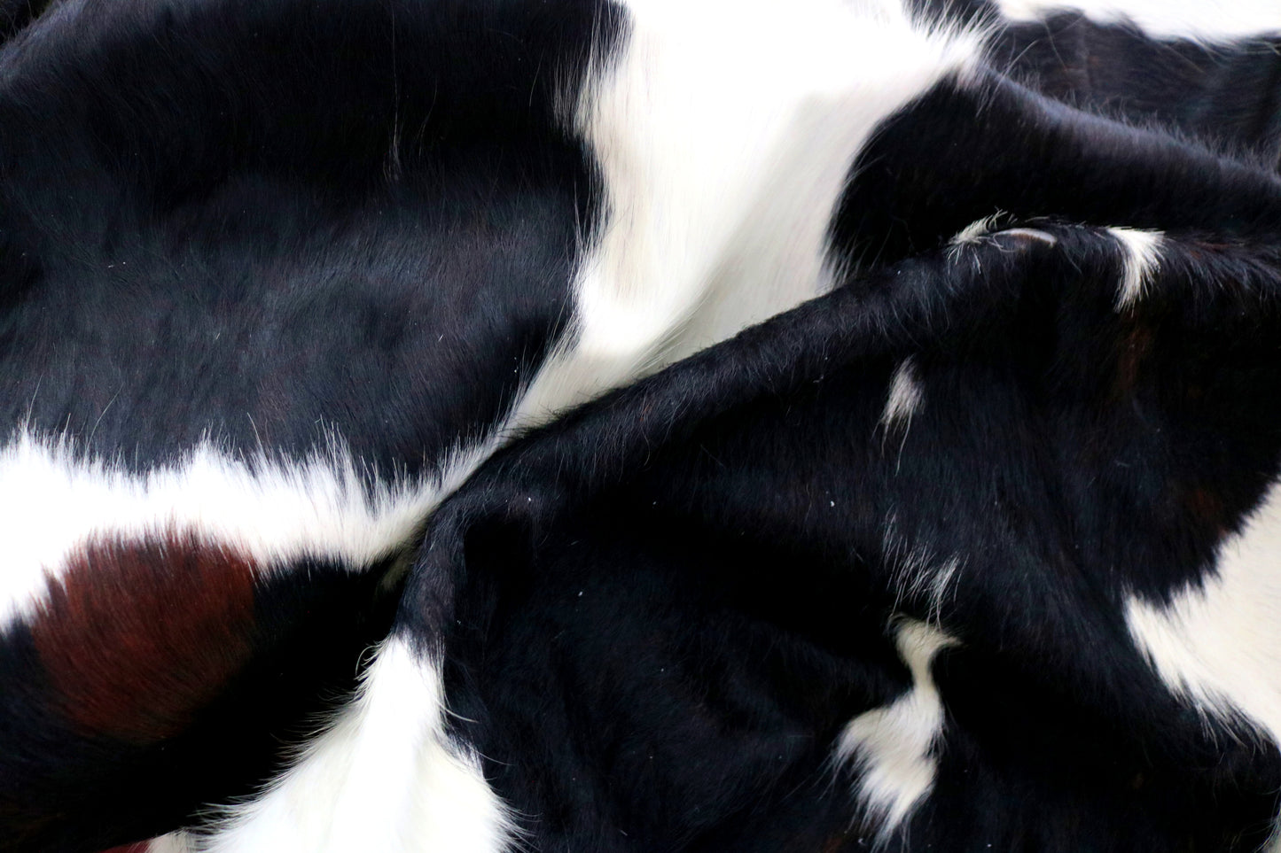 98896- Cowhide Rug Tapis Peau de Vache TRICOLOR SUPER BIG SIZE XXXL - Collection Quebecuir Premium