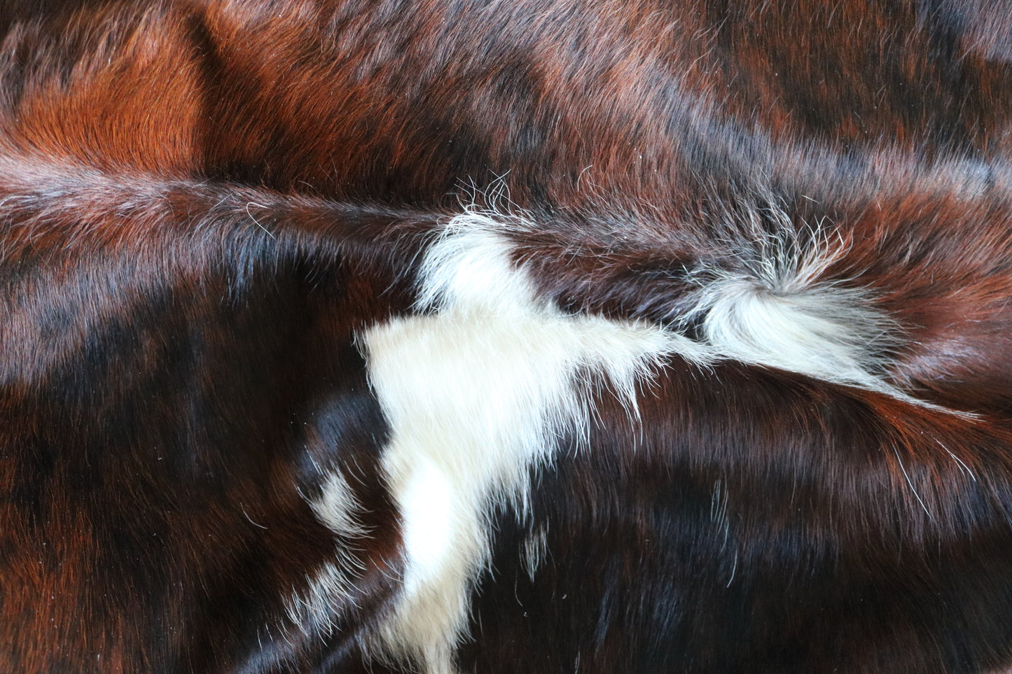 200625 - Cowhide Rug - Quebecuir Premium Collection