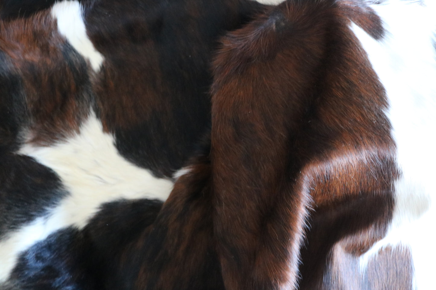 200627- Tricolor Cowhide Rug - Quebecuir Premium Collection