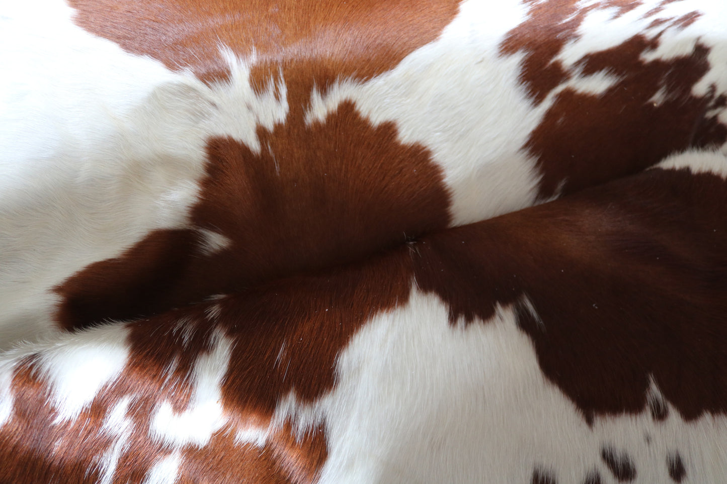 100243- Cowhide Rug - Quebecuir Premium Collection