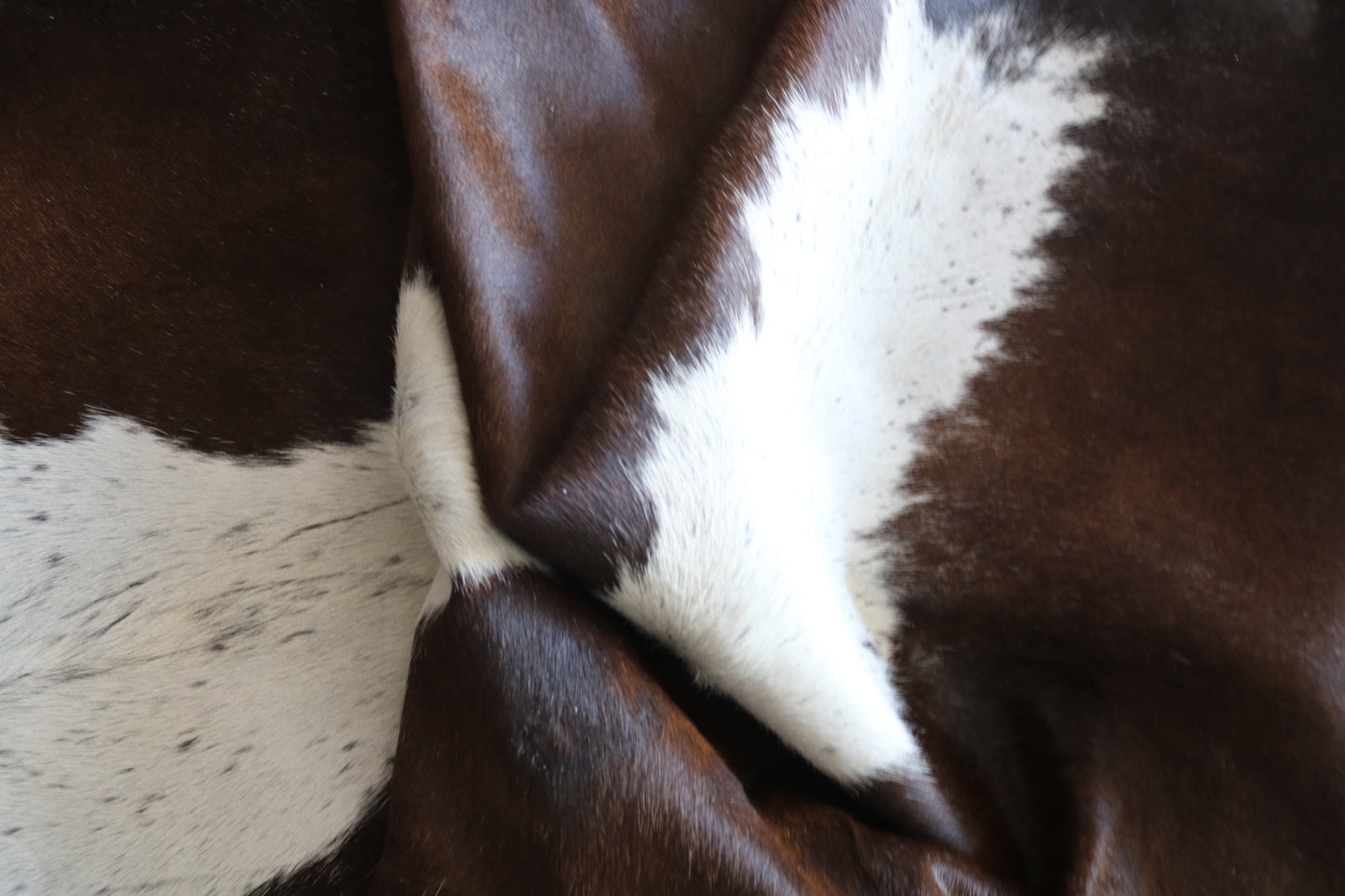 100247- SUPER BIG SIZE XXXL Cowhide Rug - Quebecuir Premium Collection