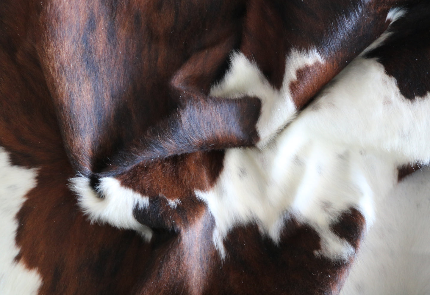 100248 -TRICOLOR Cowhide Rug - Quebecuir Premium Collection