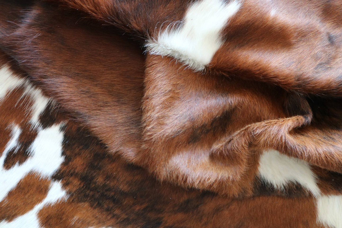 100249 -TRICOLOR Cowhide Rug - Quebecuir Premium Collection