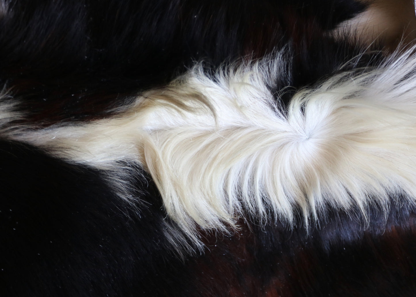 200628 - Cowhide Rug - Quebecuir Premium Collection