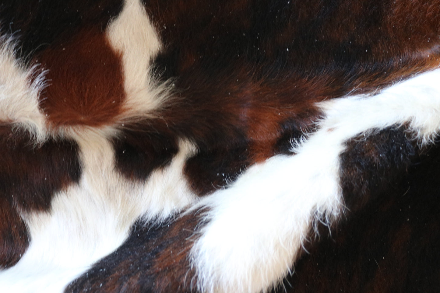 200630 - Cowhide Rug - Quebecuir Premium Collection