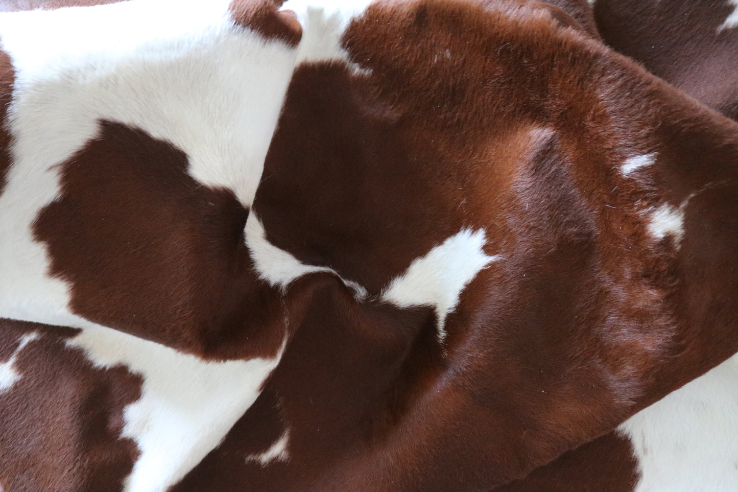 100251 -BROWN & WHITE Cowhide Rug - Quebecuir Premium Collection