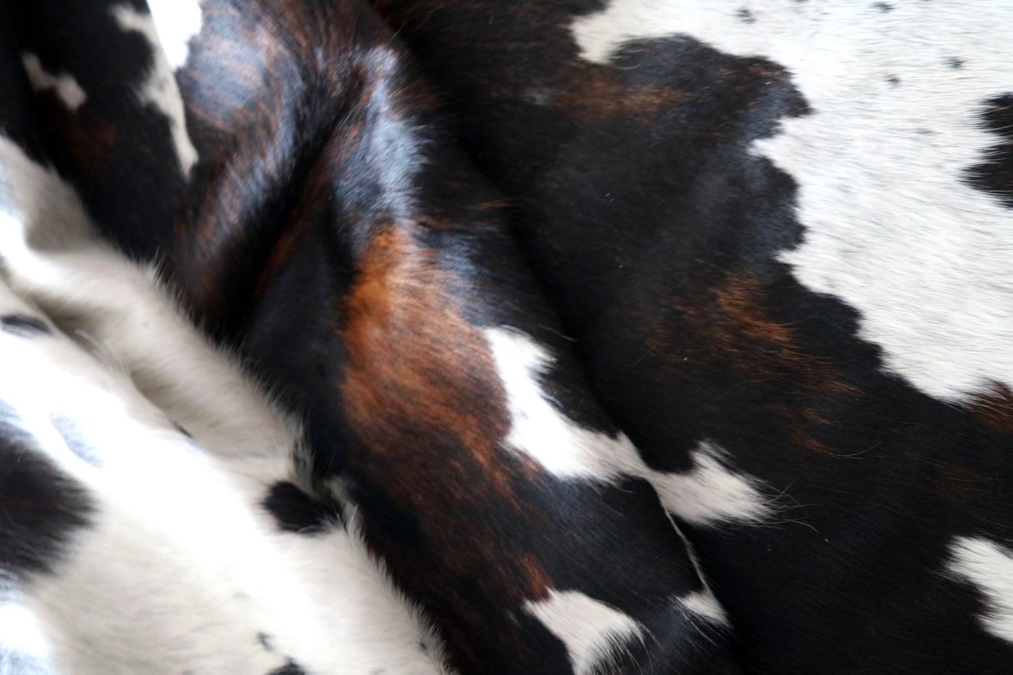 100252 - TRICOLOR Cowhide Rug - Quebecuir Premium Collection