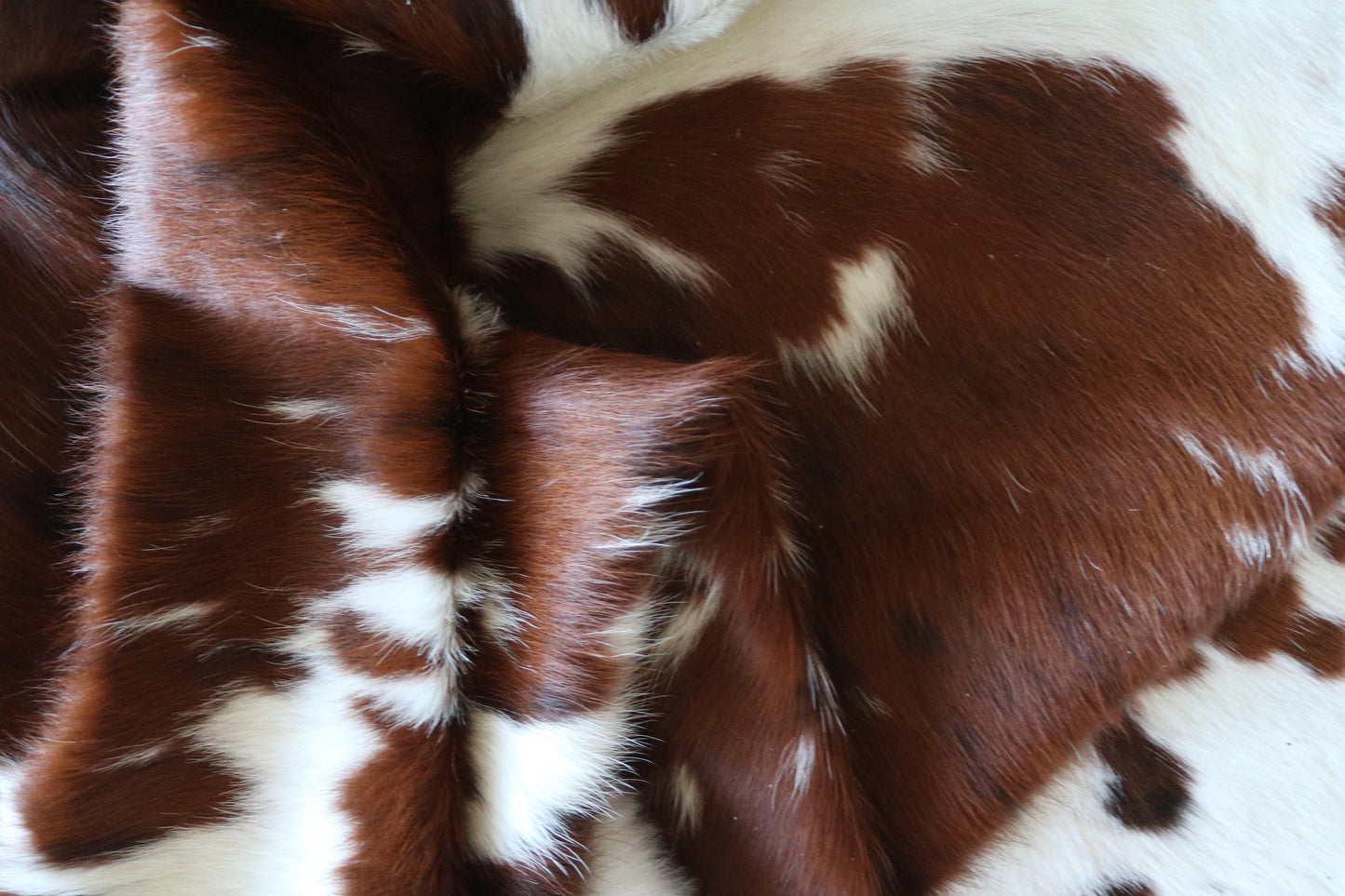 100262 -TRICOLOR Cowhide Rug - Quebecuir Premium Collection