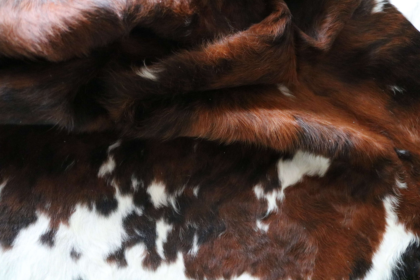 100269-TRICOLOR Cowhide Rug - Quebecuir Premium Collection