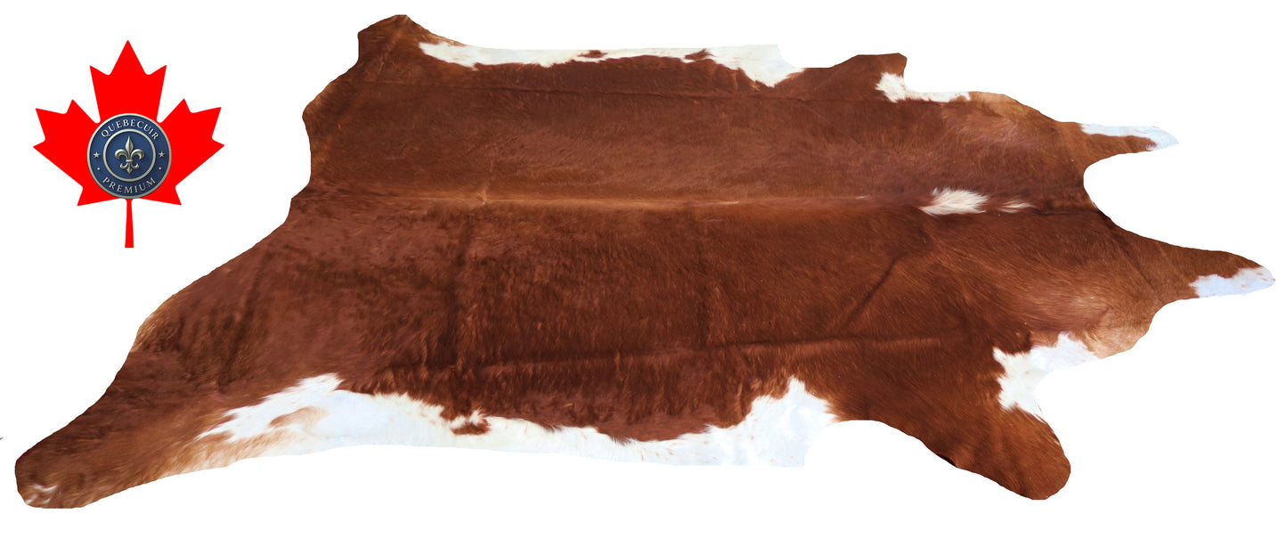 200001 - Cowhide Rug Tapis Peau de Vache SUPER BIG SIZE XXXL - Collection Quebecuir Premium