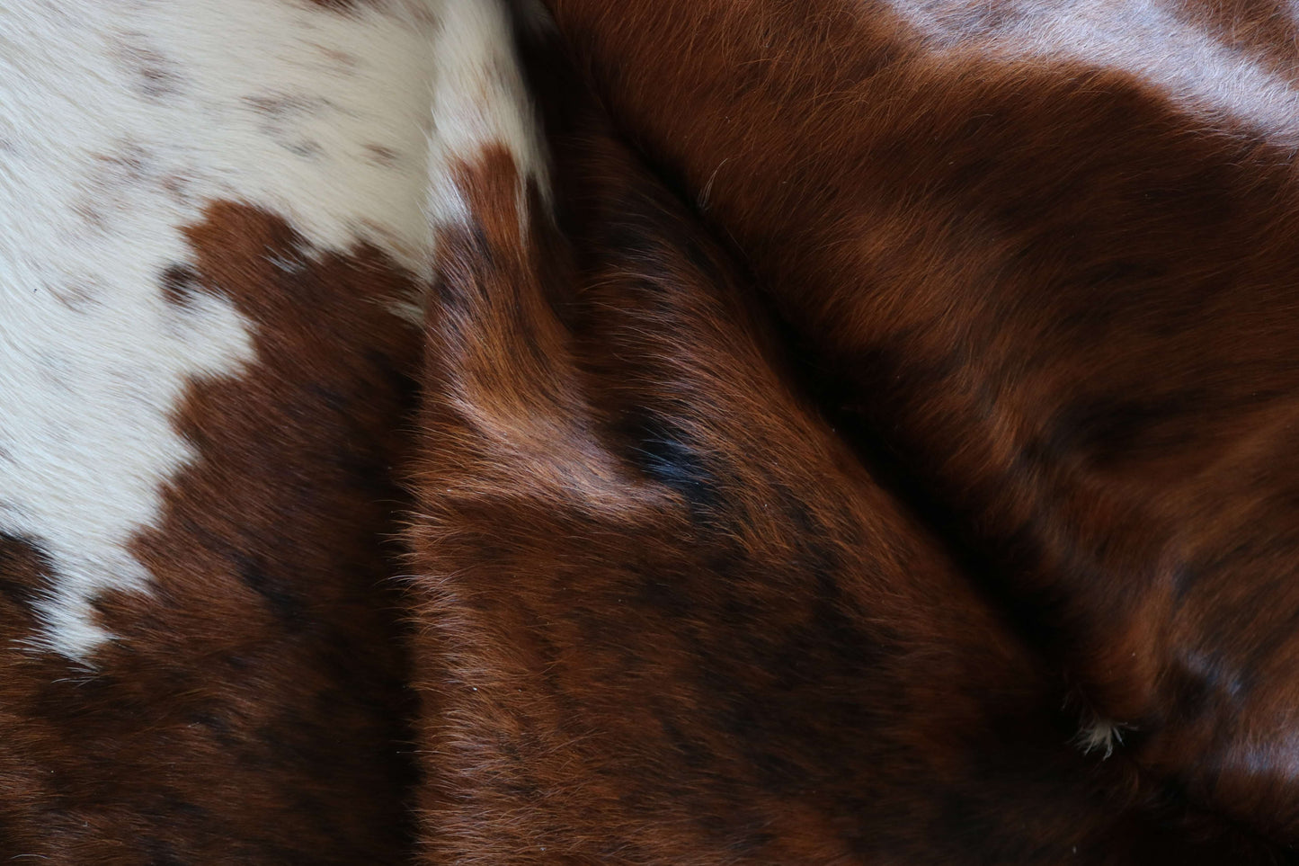 200637 -TRICOLOR Cowhide Rug - Quebecuir Premium Collection