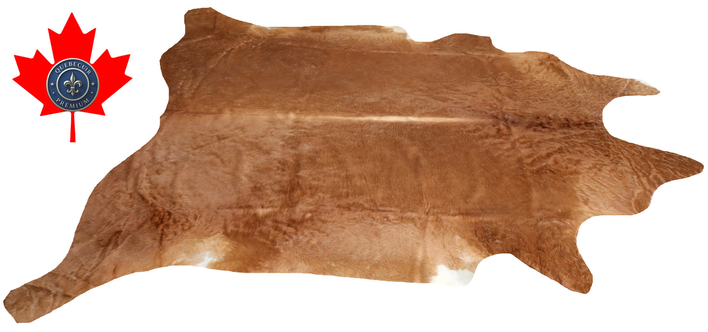 200003 - Cowhide Rug Tapis Peau de Vache SUPER BIG SIZE XXXL - Collection Quebecuir Premium