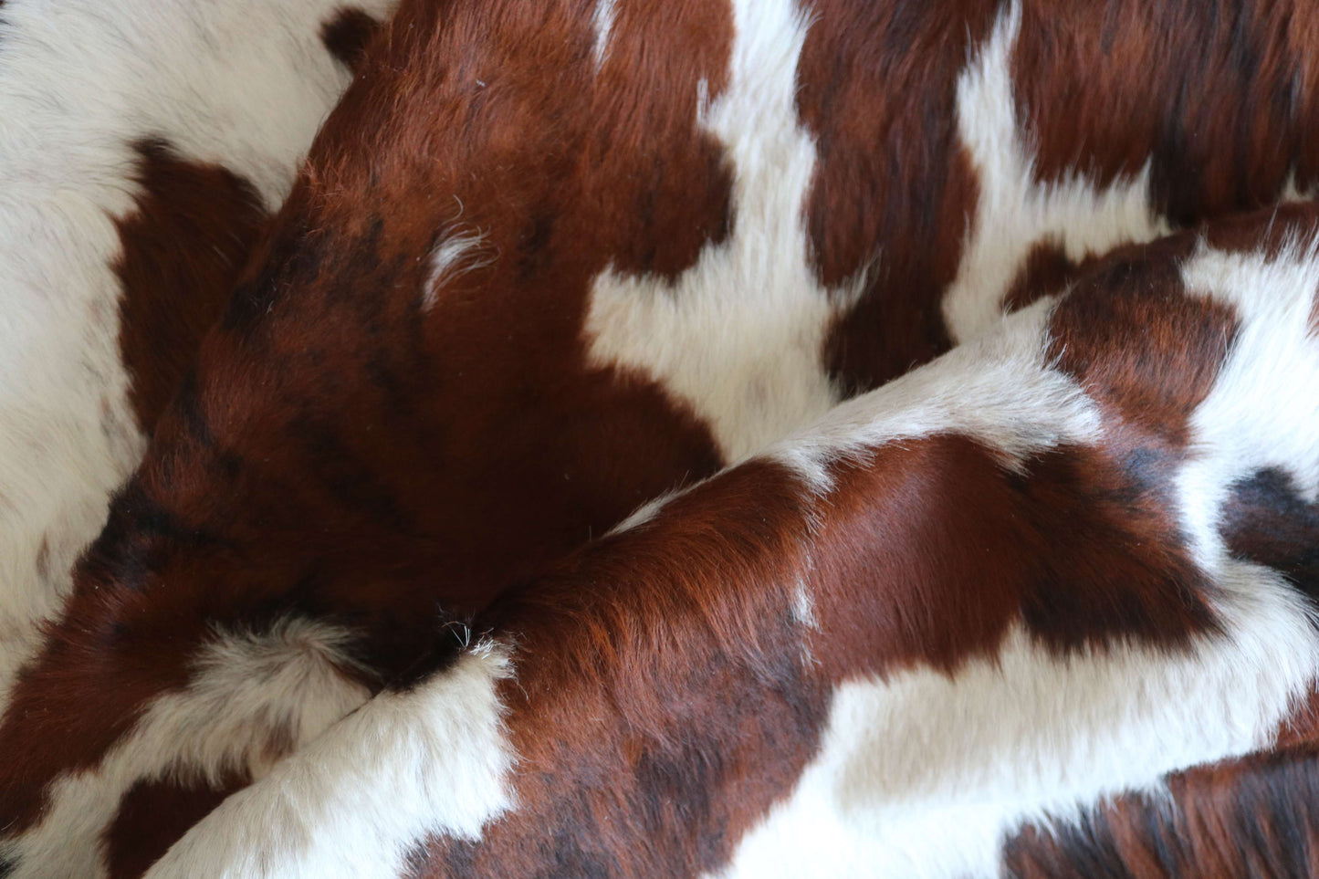 200639-TRICOLOR Cowhide Rug - Quebecuir Premium Collection