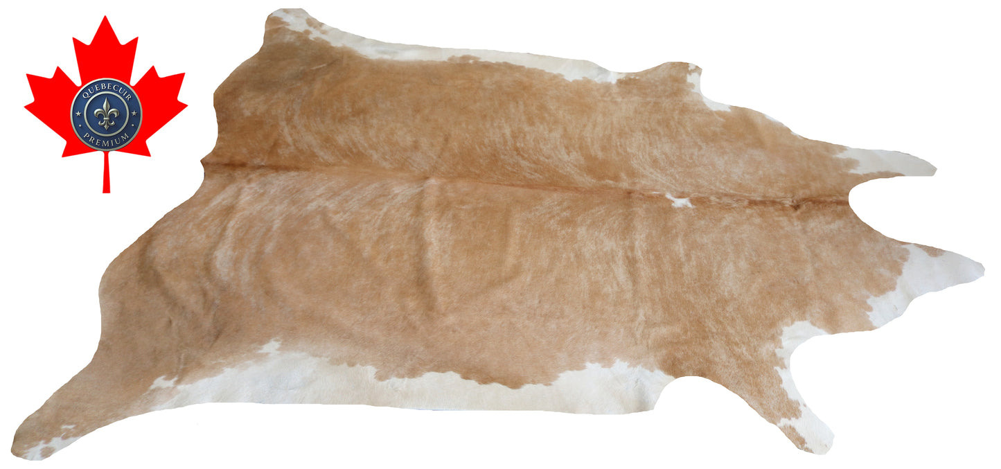 200008 - Cowhide Rug Tapis Peau de Vache SUPER BIG SIZE XXXL - Collection Quebecuir Premium