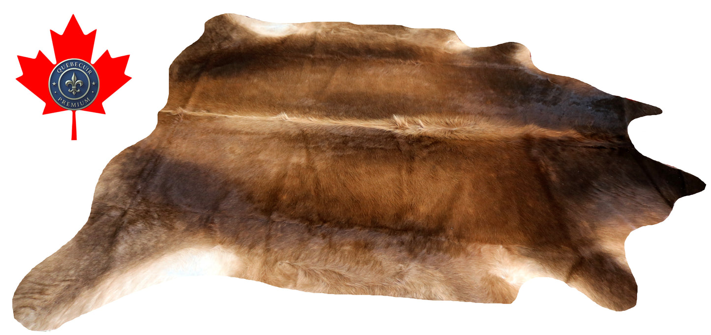200009 - Cowhide Rug Tapis Peau de Vache SUPER BIG SIZE XXXL - Collection Quebecuir Premium