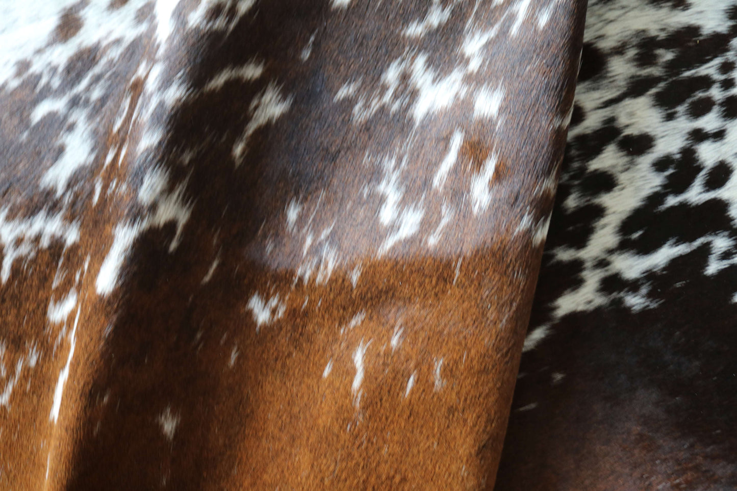 100276 -TRICOLOR Cowhide Rug - Quebecuir Premium Collection