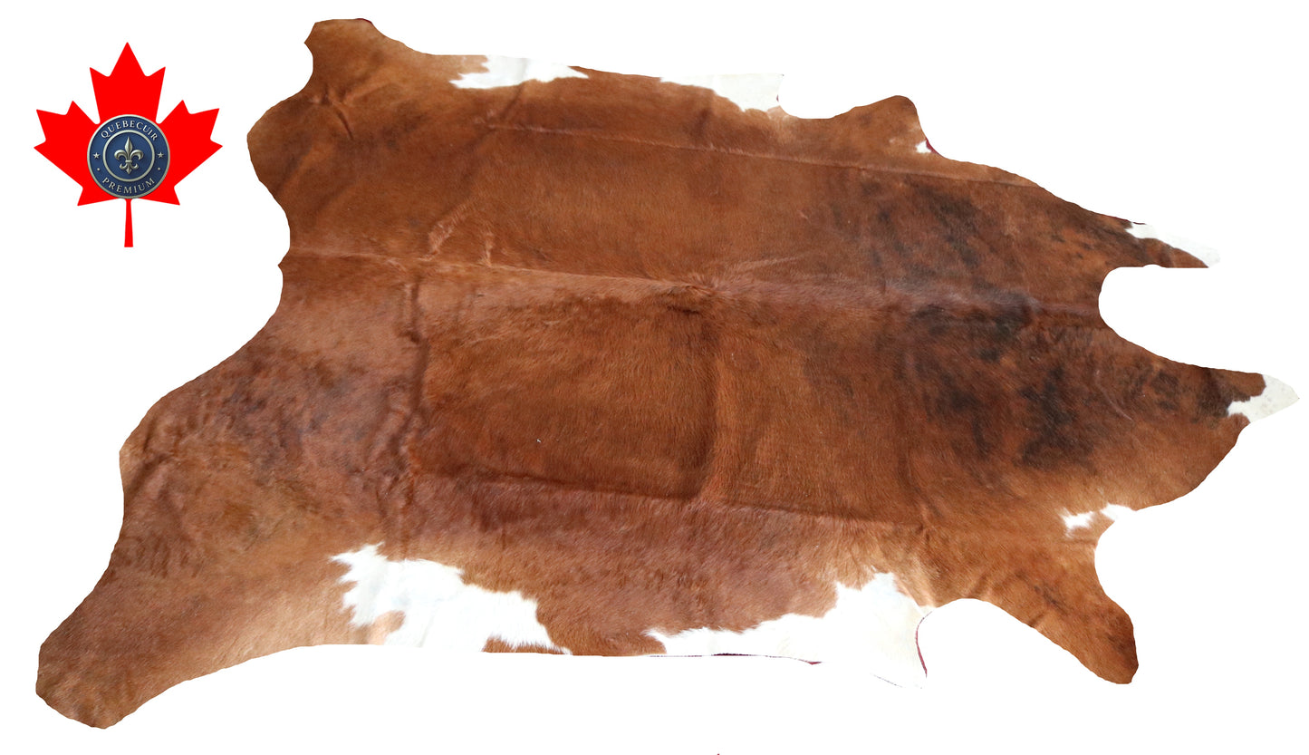 200018 - Cowhide Rug Tapis Peau de Vache SUPER BIG SIZE XXXL - Collection Quebecuir Premium