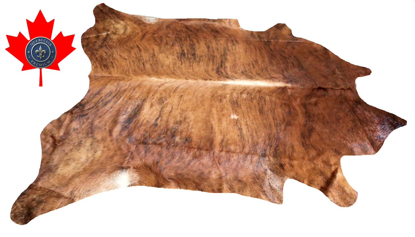 200019 - Cowhide Rug Tapis Peau de Vache SUPER BIG SIZE XXXL - Collection Quebecuir Premium