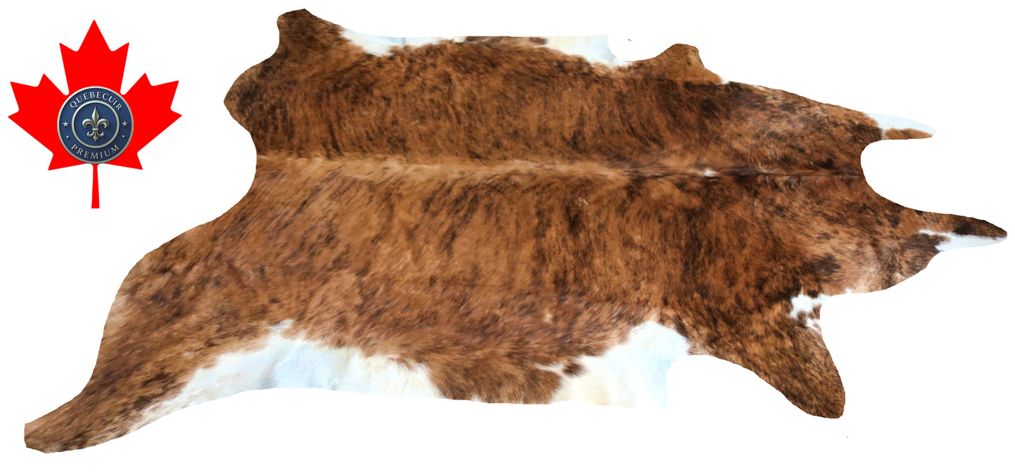 200021 - Cowhide Rug Tapis Peau de Vache SUPER BIG SIZE XXXL - Collection Quebecuir Premium