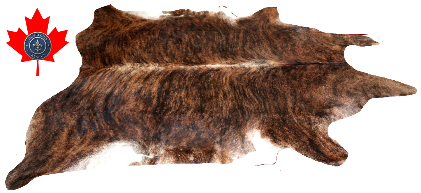 200026 - Cowhide Rug Tapis Peau de Vache SUPER BIG SIZE XXXL - Collection Quebecuir Premium