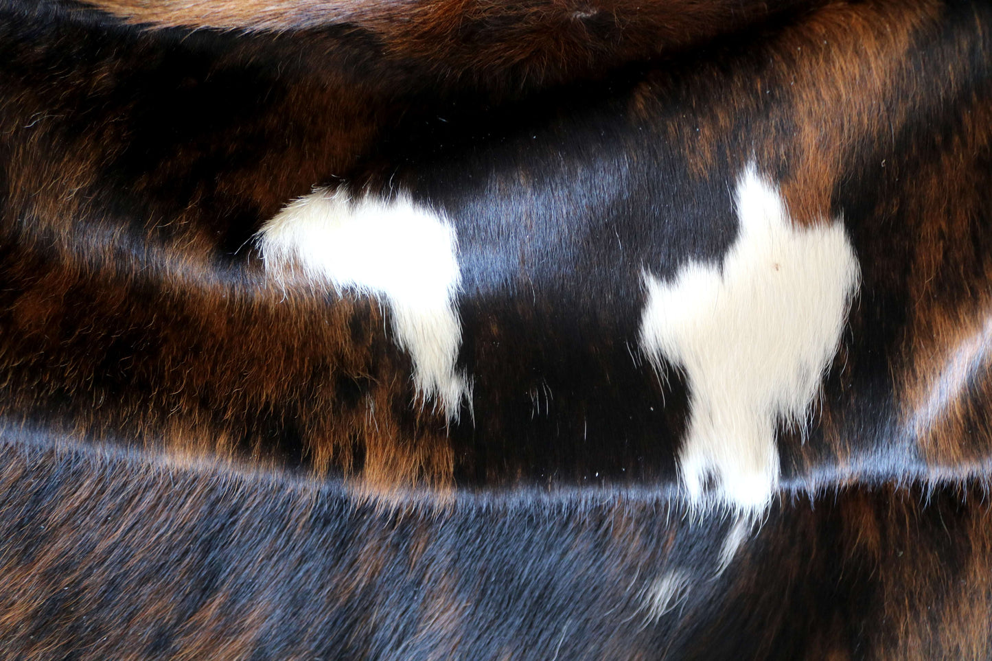 100279 -TRICOLOR Cowhide Rug - Quebecuir Premium Collection