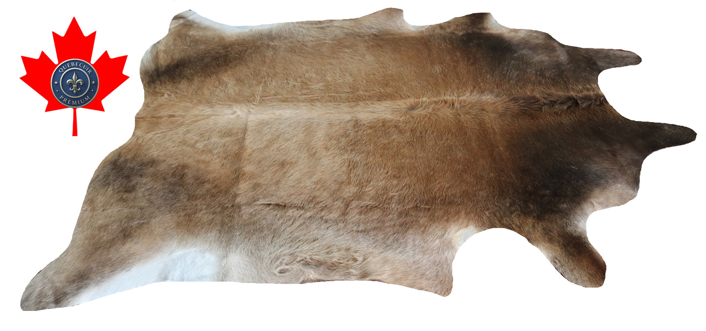 200032 - Cowhide Rug Tapis Peau de Vache SUPER BIG SIZE XXXL - Collection Quebecuir Premium