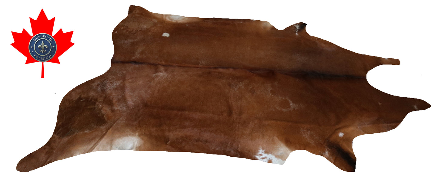 200044 - Cowhide Rug Tapis Peau de Vache SUPER BIG SIZE XXXL - Collection Quebecuir Premium