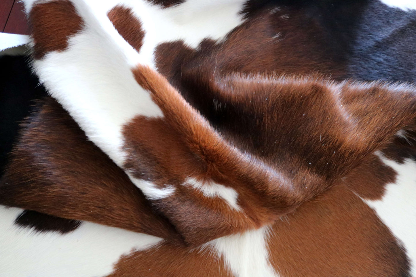 200644 -TRICOLOR Cowhide Rug - Quebecuir Premium Collection