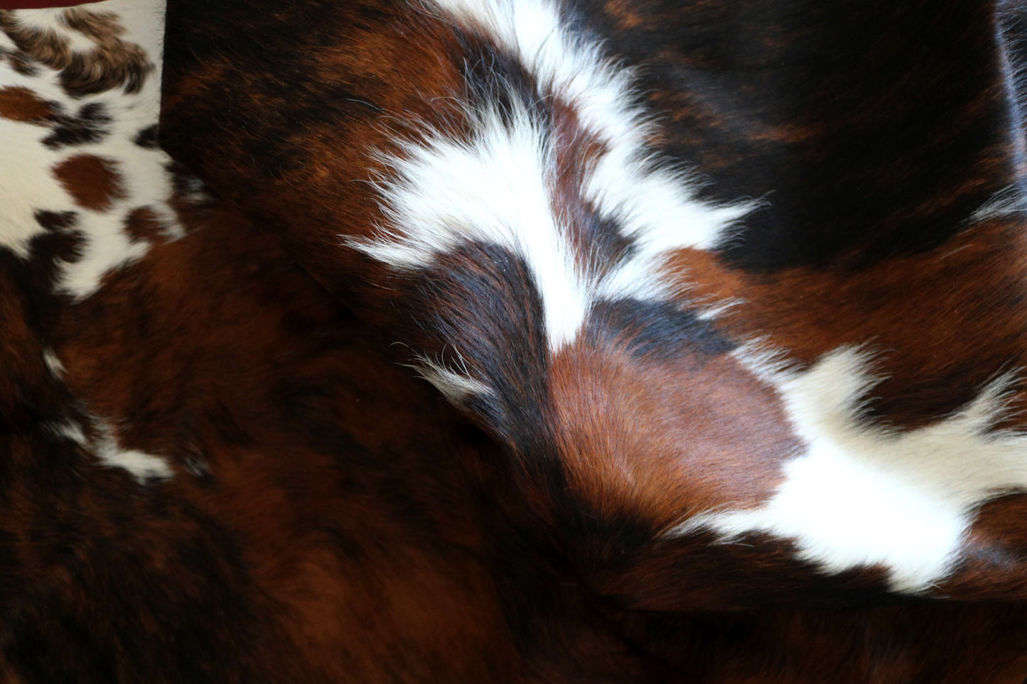 200648 -TRICOLOR Cowhide Rug - Quebecuir Premium Collection