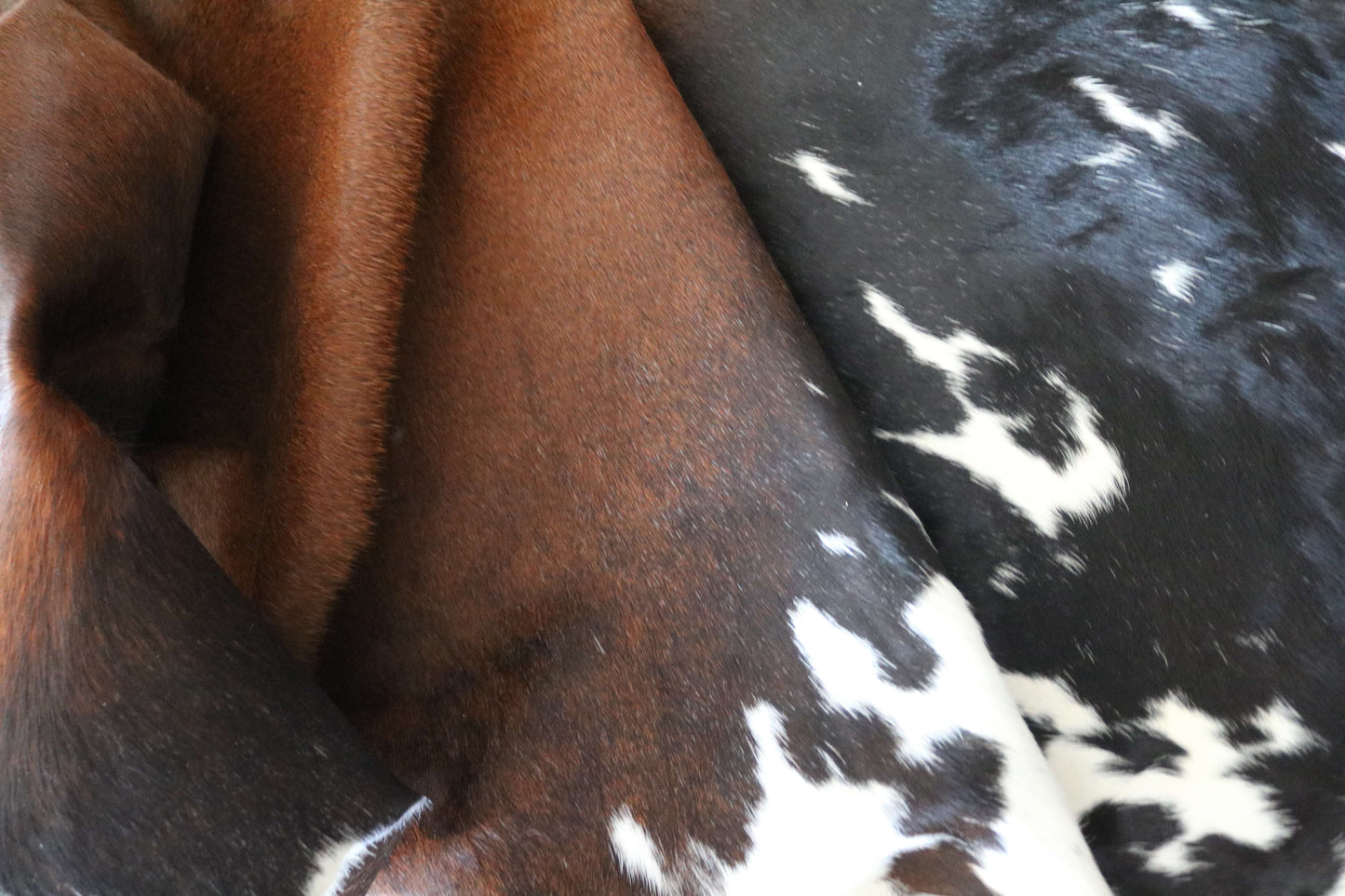 200651 -TRICOLOR Cowhide Rug - Quebecuir Premium Collection