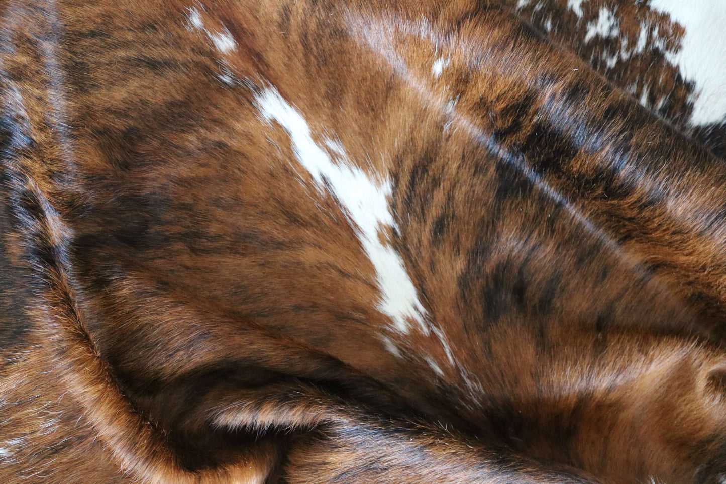 200652 -TRICOLOR Cowhide Rug - Quebecuir Premium Collection