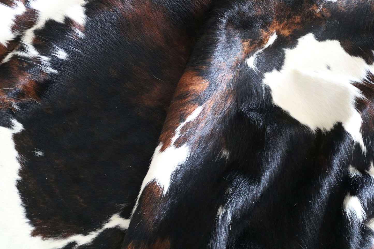 200654 -TRICOLOR Cowhide Rug - Quebecuir Premium Collection
