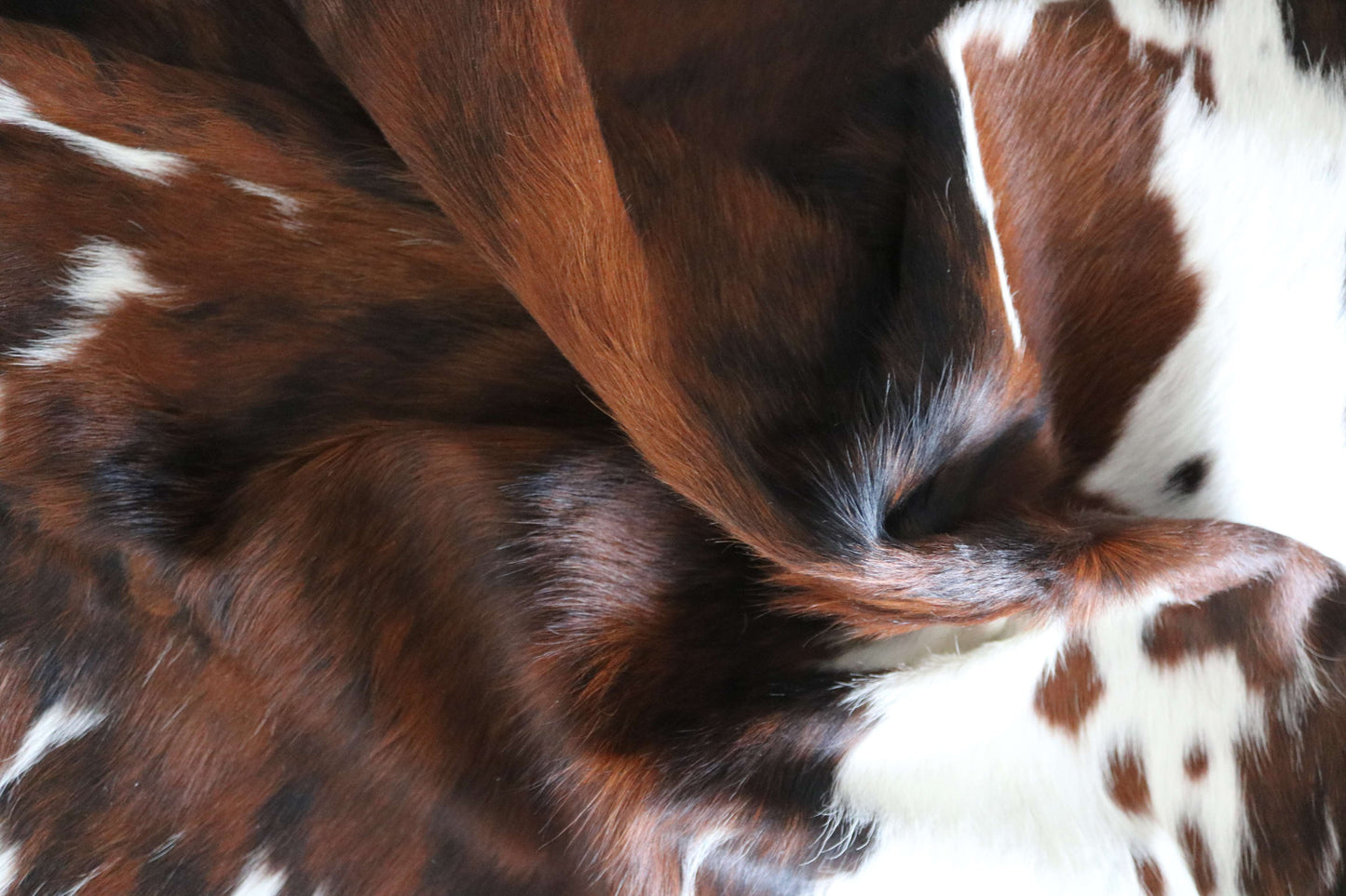 200655 -TRICOLOR Cowhide Rug - Quebecuir Premium Collection