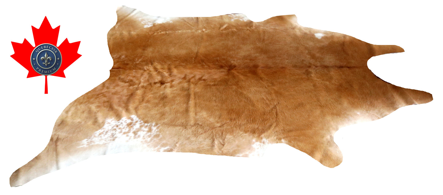 200083 - Cowhide Rug Tapis Peau de Vache SUPER BIG SIZE XXXL - Collection Quebecuir Premium