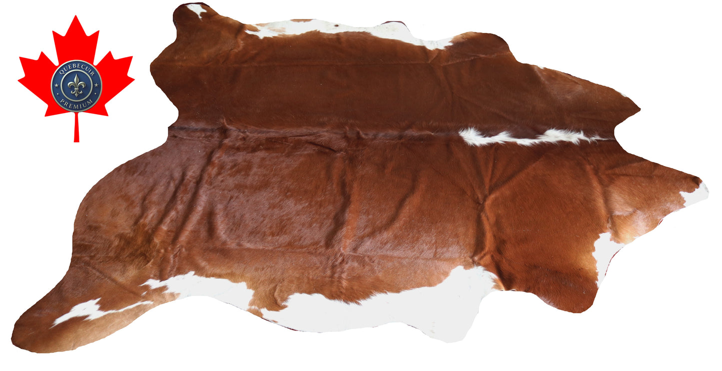 200096- Cowhide Rug Tapis Peau de Vache SUPER BIG SIZE XXXL - Collection Quebecuir Premium