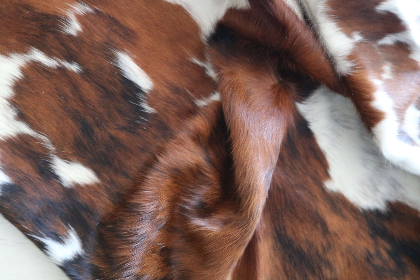 100290- SUPER BIG SIZE XXXL TRICOLOR Cowhide Rug - Quebecuir Premium Collection