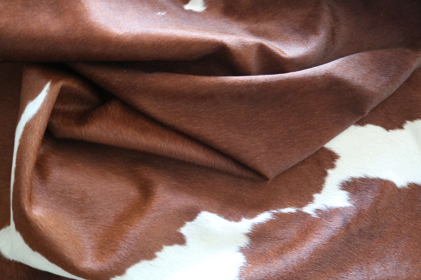 100293 - SUPER BIG SIZE XXXL BROWN & WHITE Cowhide Rug - Quebecuir Premium Collection