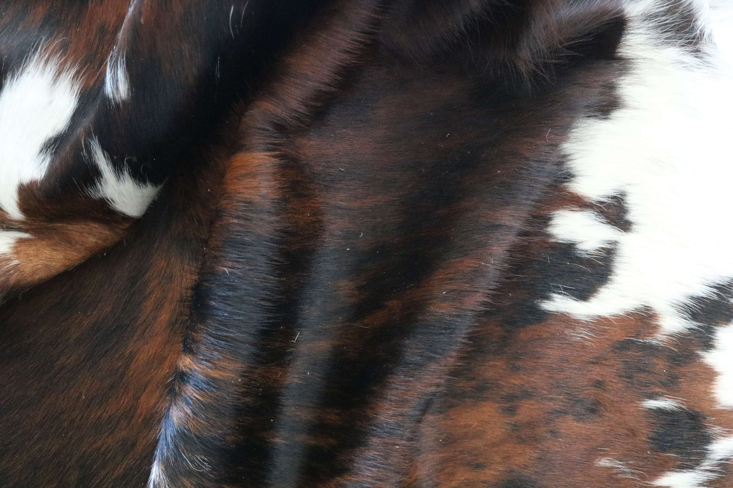 100295 -TRICOLOR Cowhide Rug - Quebecuir Premium Collection