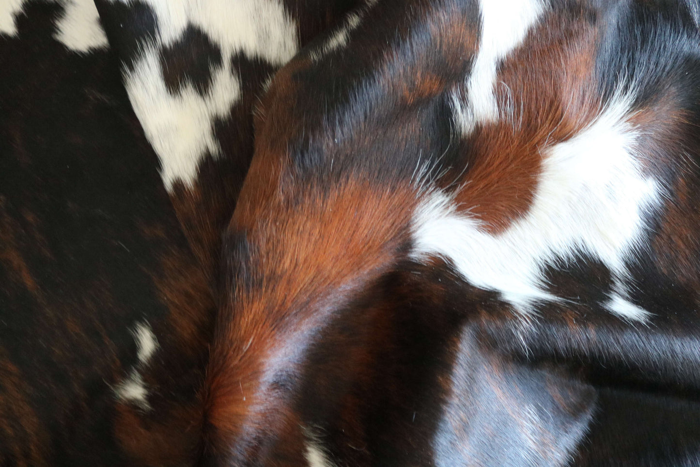 100296 -TRICOLOR Cowhide Rug - Quebecuir Premium Collection