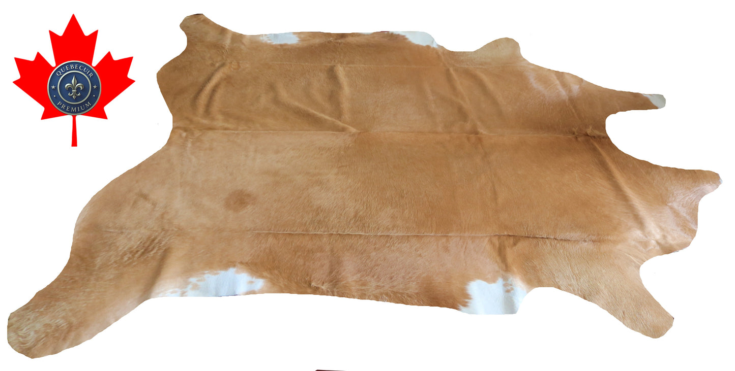 200111- Cowhide Rug Tapis Peau de Vache SUPER BIG SIZE XXXL - Collection Quebecuir Premium